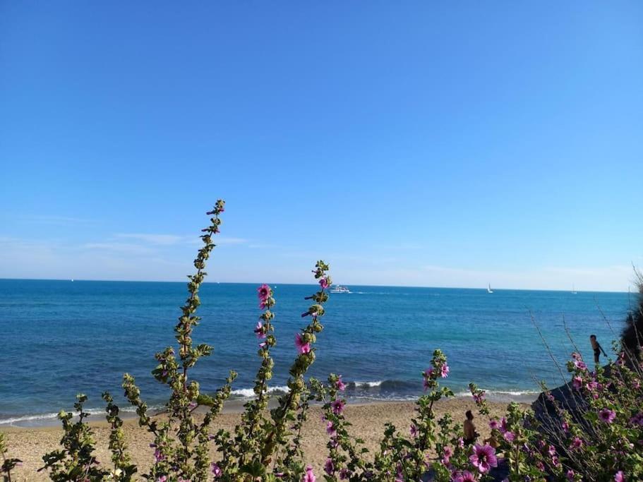 Studio Port Du Cap D'Агд Экстерьер фото
